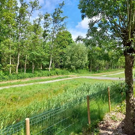 TzummarumWellnesshuis Met Hottub, Ligbad En Grote Tuin别墅 外观 照片